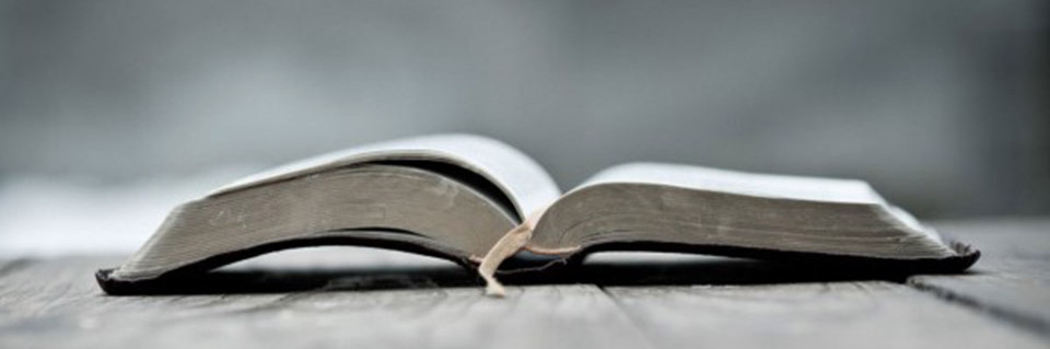 VIVA MAIS FM, semeando a PALAVRA que liberta!